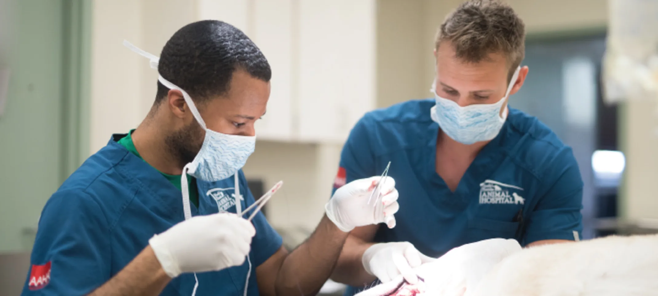 Two technicians with masks on performing dental procedure